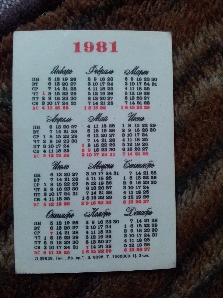 Карманный календарик : Сказка МультфильмПросто так1981 г. 1