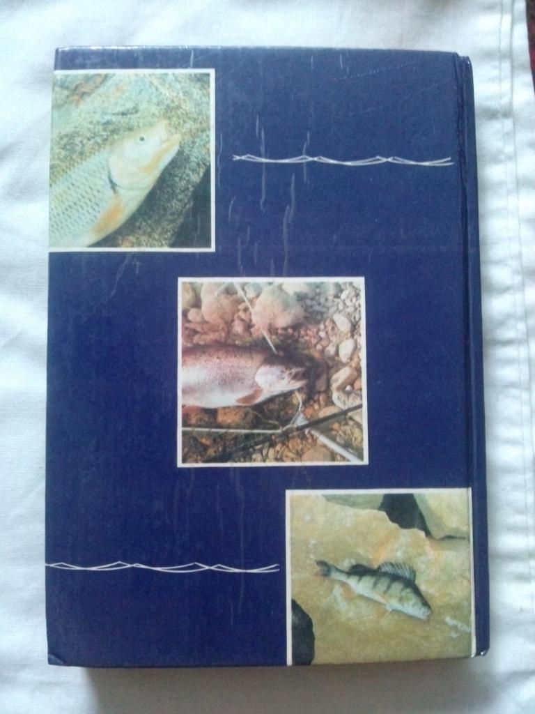 П. В. Ивнев - С крючком , мормышкой и блесной 1993 г. (Рыбалка , рыболовство) 1