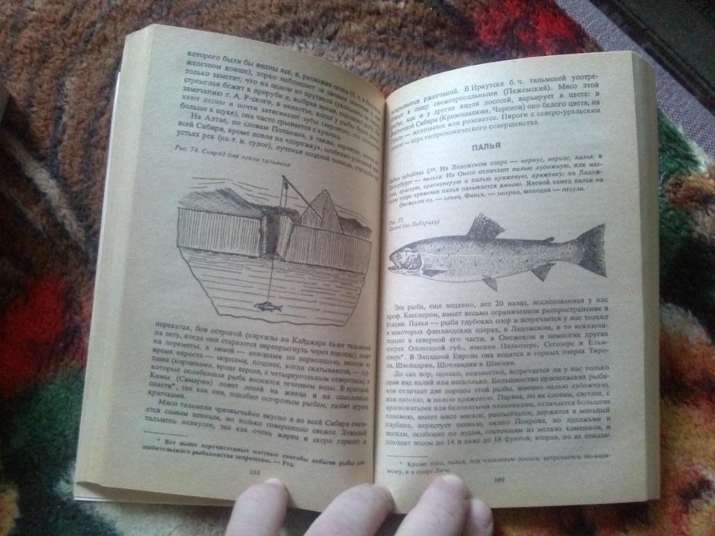 Л.П. Сабанеев -Рыбы Россиив 2 - х томах 1992 г. (Рыбалка , рыболовство ) 3