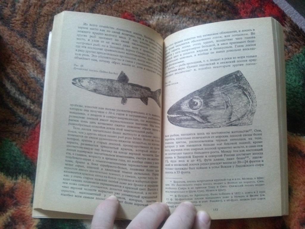 Л.П. Сабанеев -Рыбы Россиив 2 - х томах 1992 г. (Рыбалка , рыболовство ) 5