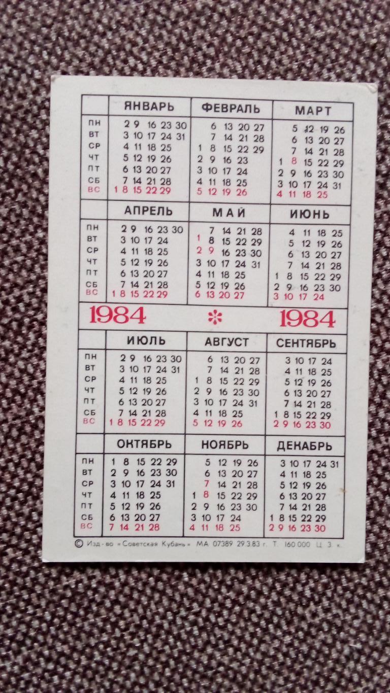 Карманный календарик : Охрана природы - Кактус 1984 г. Цветы . флора , растения 1
