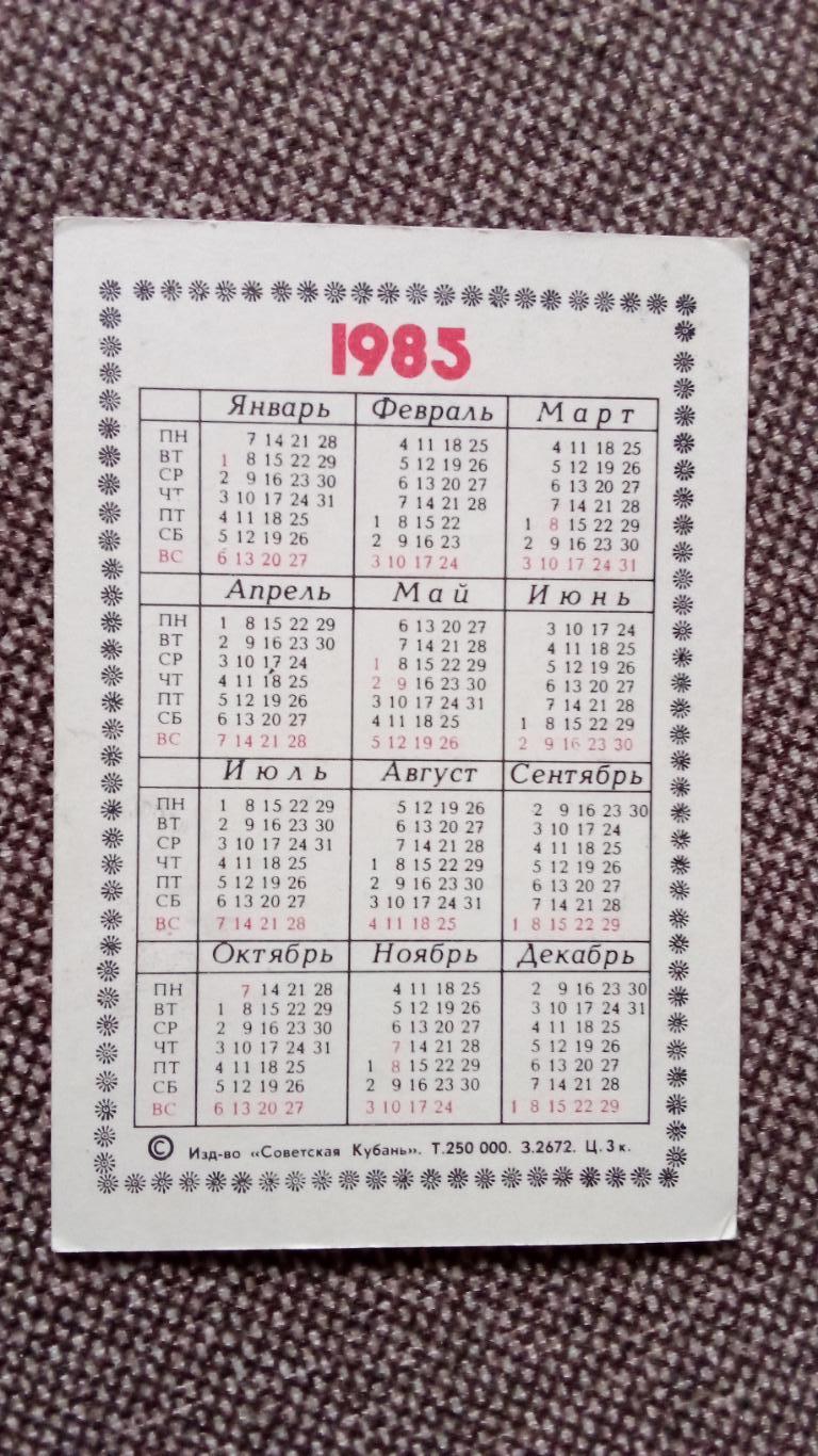 Карманный календарик : Охрана природы - Parodia erythrantha 1985 г. Кактус флора 1
