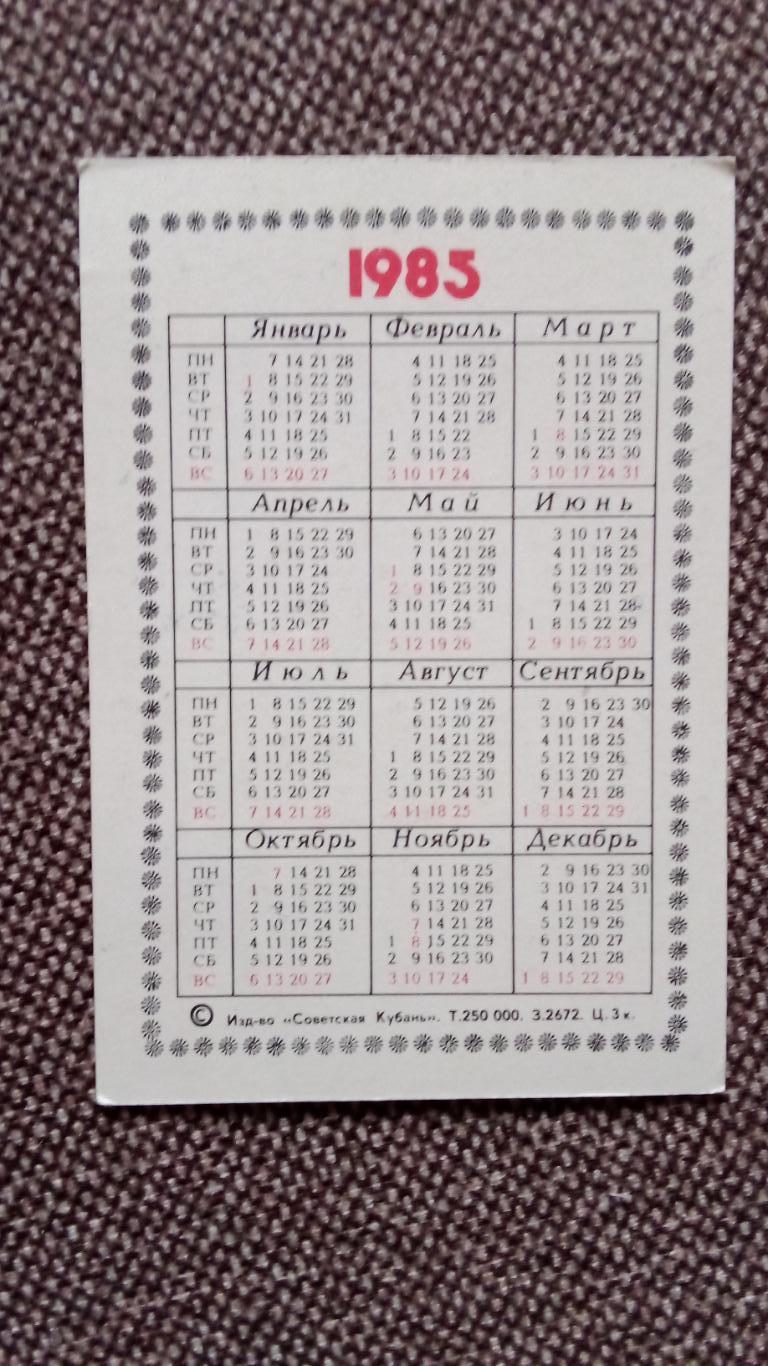 Карманный календарик : Охрана природы - Rebutia violaciflora 1985 г. Кактус 1