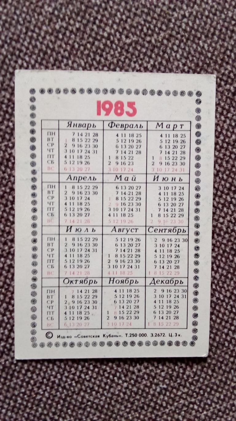 Карманный календарик : Охрана природы - Not. ottonis v. tortuosus 1985 г. Кактус 1