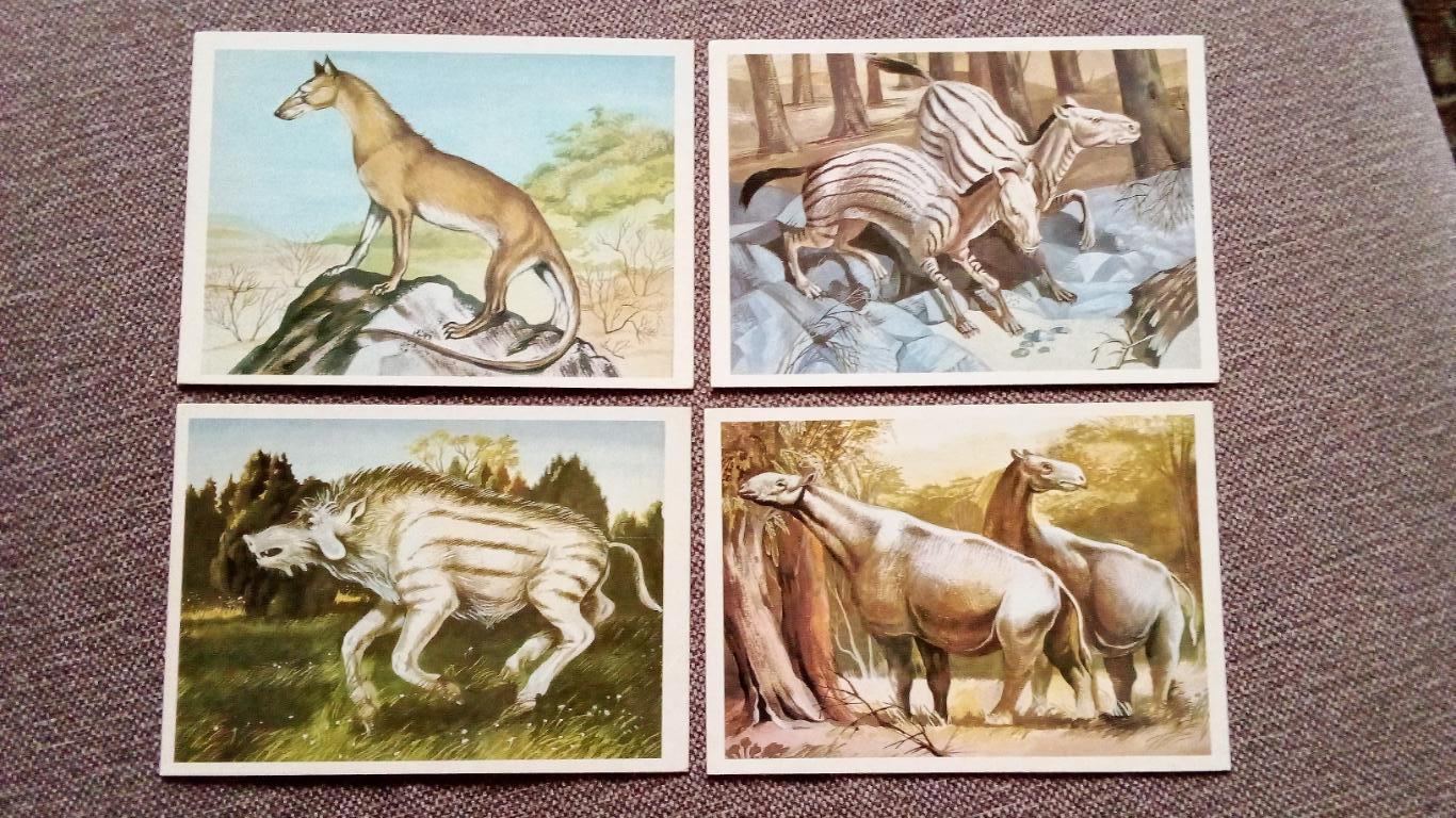 Из глубины веков : Динозавры (Выпуск № 3) полный набор - 16 открыток (Животные) 2