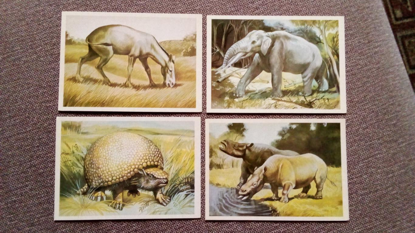 Из глубины веков : Динозавры (Выпуск № 3) полный набор - 16 открыток (Животные) 3