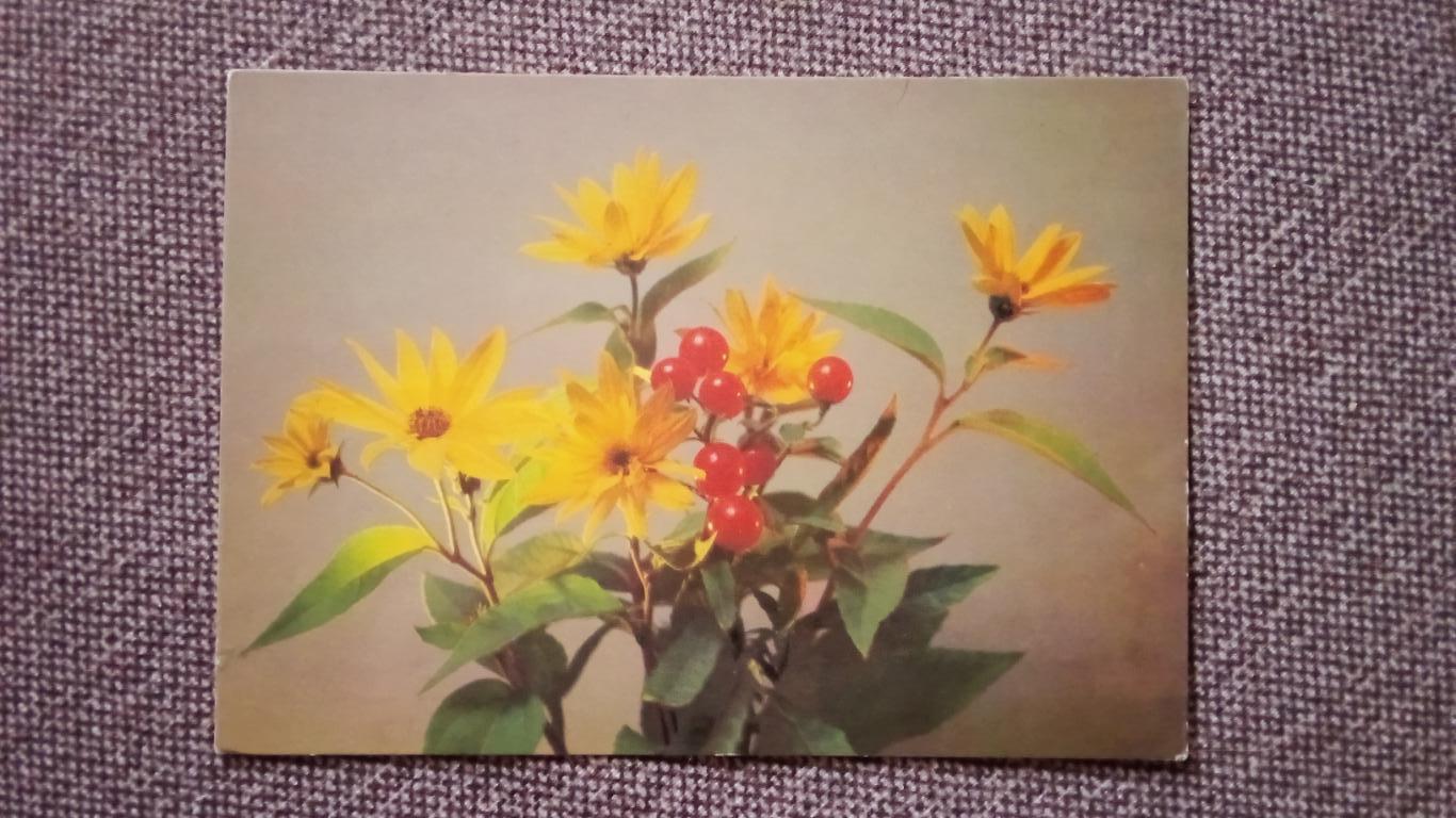 Композиция из цветов 1985 г. Цветы , флора , растения