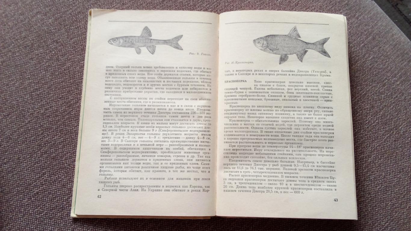 Б. Куркин , А. Щербуха - Любительское рыболовство 1977 г. (Рыбалка Рыбак) 6