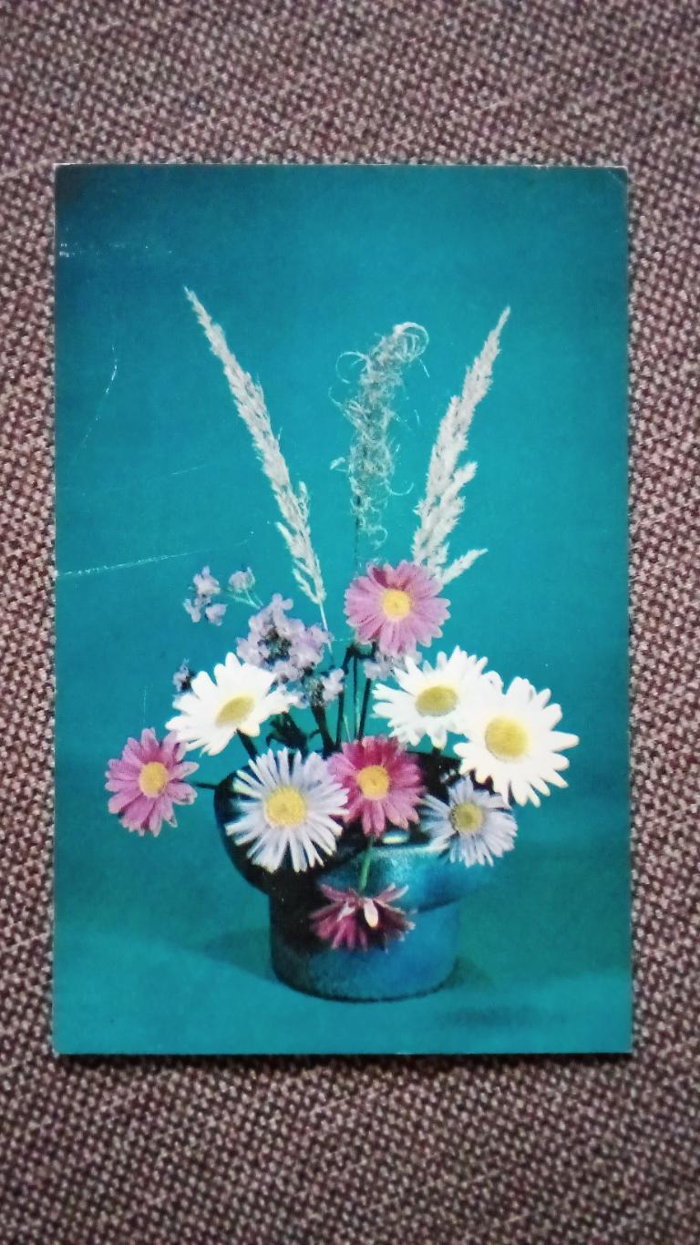 Композиция из цветов 1983 г. Цветы Флора Растения