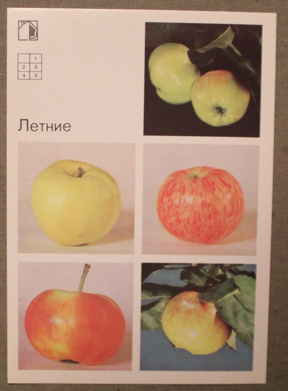 Набор открыток Яблони 1989 3