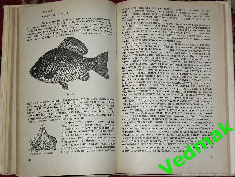 Сабанеев Л. П. Жизнь и ловля пресноводных рыб 1978 г.. 4