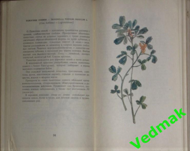 В. Флоря Лекарственные растения 1976 г. 3