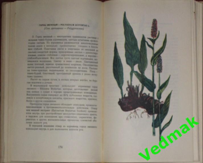 В. Флоря Лекарственные растения 1976 г. 4