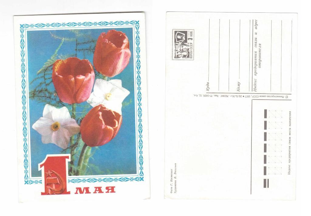 Открытка 1 мая, цветы, тюльпаны Костенко 1977, чистая