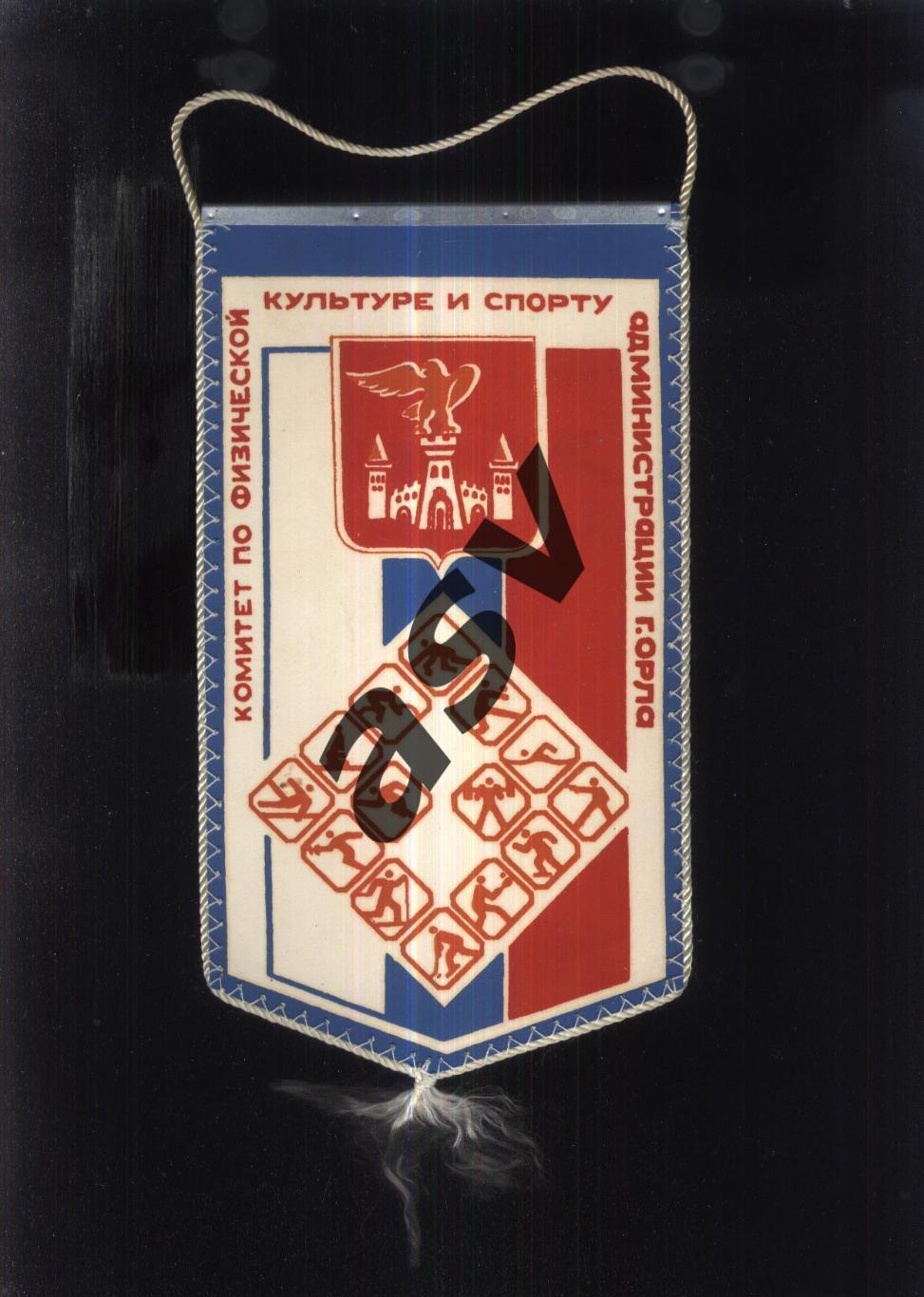 Комитет по физической культуре и спорту администрации города Орла 1993