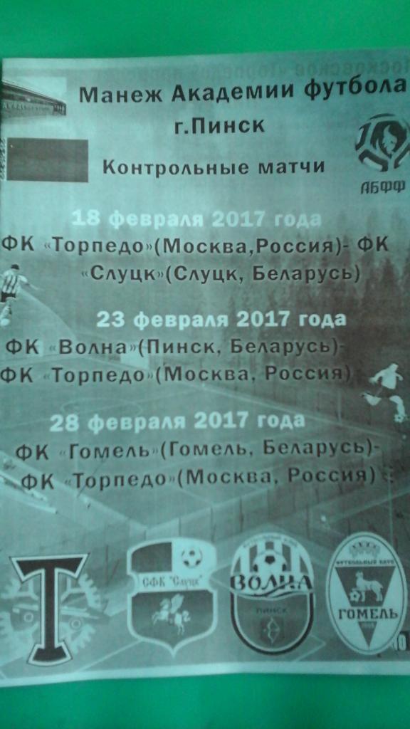 Торпедо (Москва)- Слуцк, Волна (Пинск), Гомель 18-28.02.2017 года. ТМ (Неофиц)