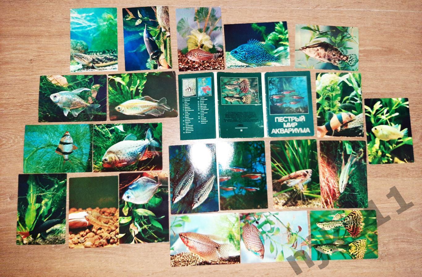 Пестрый мир аквариума. Выпуск 1. Комплект открыток не полный