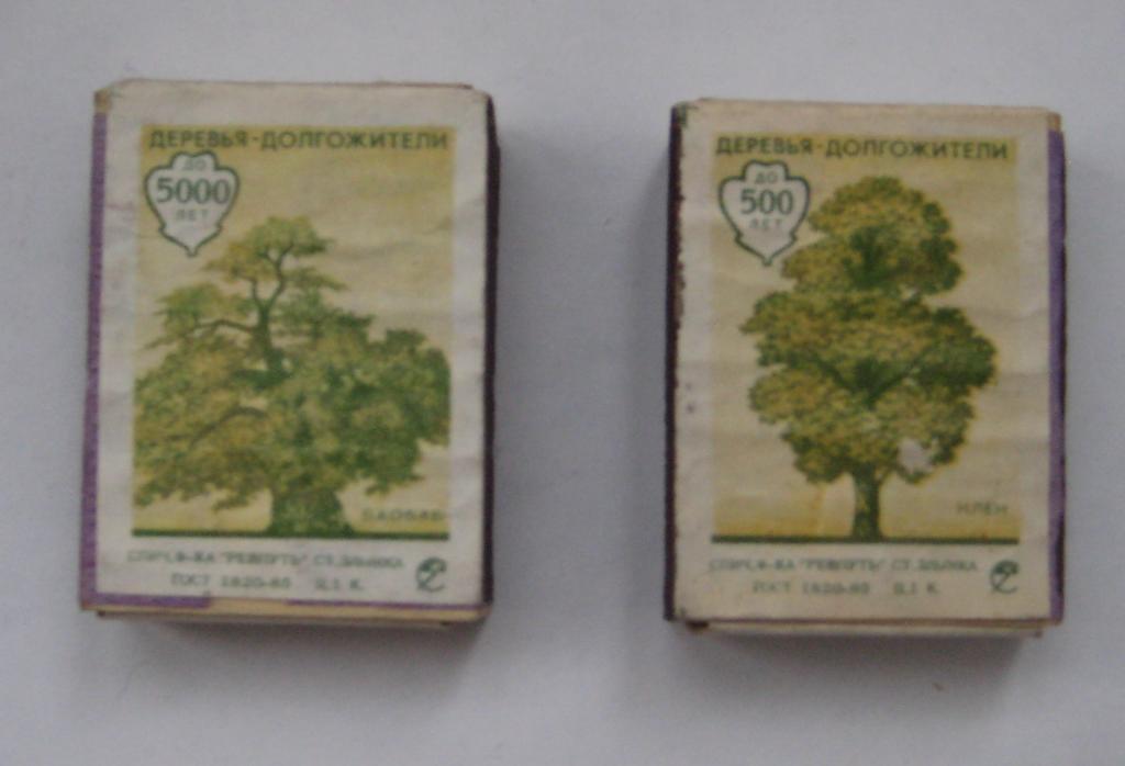 СПИЧКИ из СССР в деревянном коробке. Гост 1820-85. ФЛОРА 1