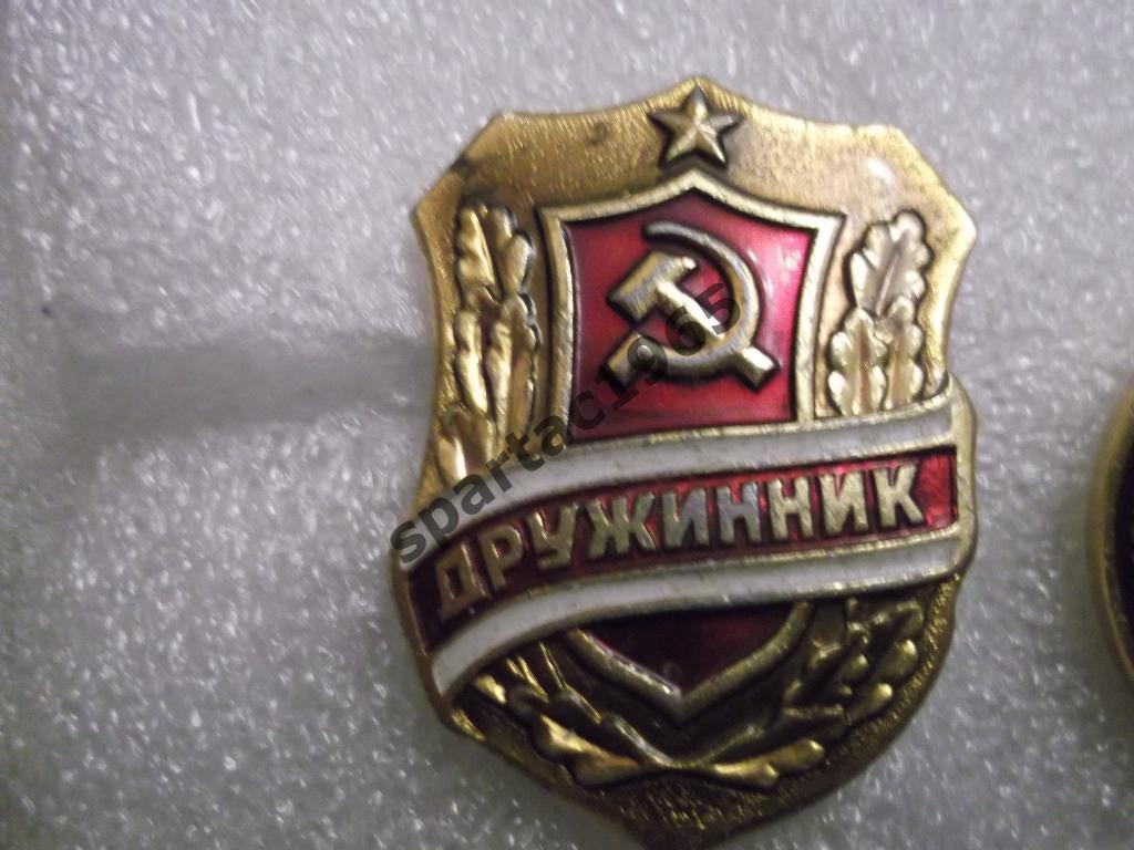 Знак Дружинник