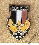 Знак Федерация Футбола Грузия (8) / Пр-во Швеция 1990-е гг.