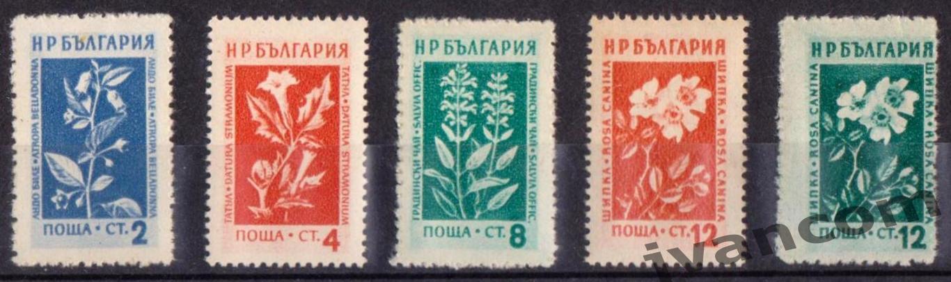 Марки, НР Болгария, Горные цветы и лекарственные растения, 1953 год. 1