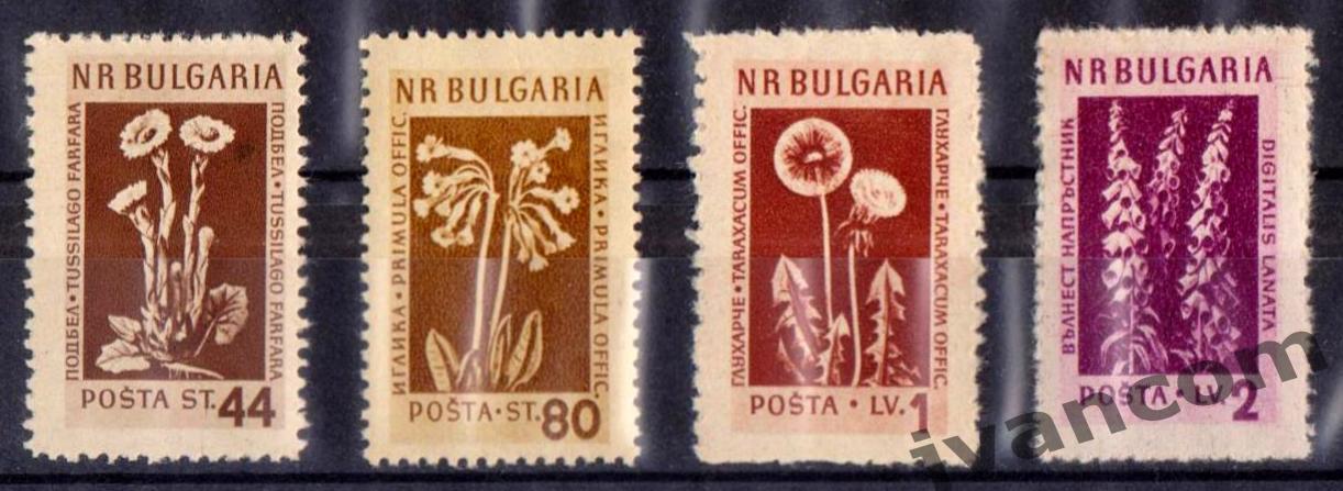 Марки, НР Болгария, Горные цветы и лекарственные растения, 1953 год. 3