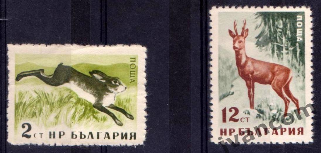 Марки, НР Болгария, Местные лесные животные, 1958 год. 1