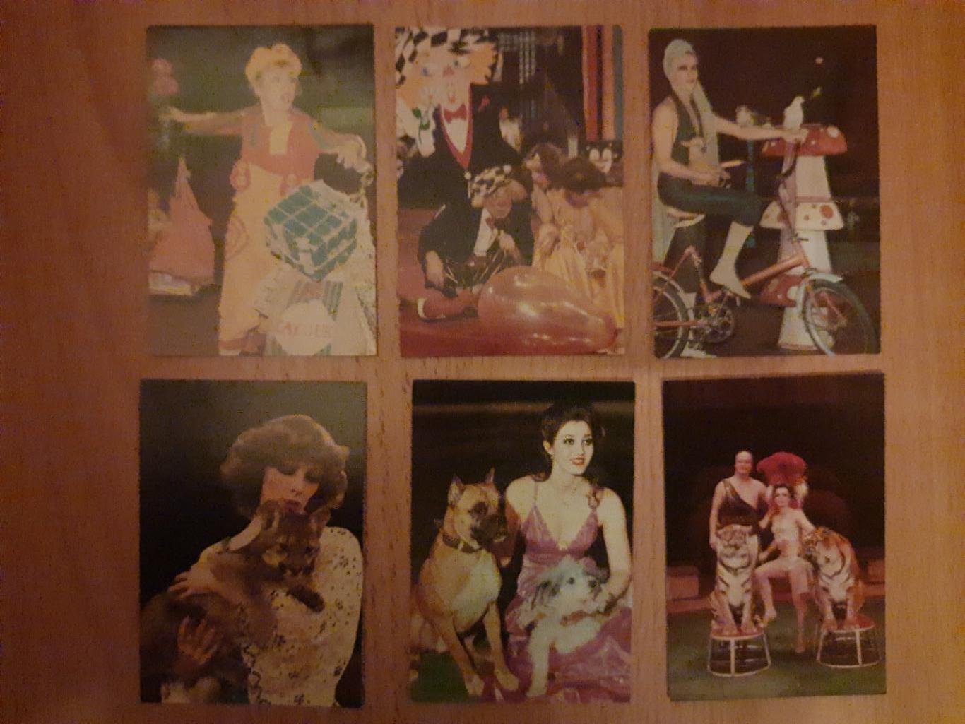 календарики Цирк 1984, 35 шт. 3