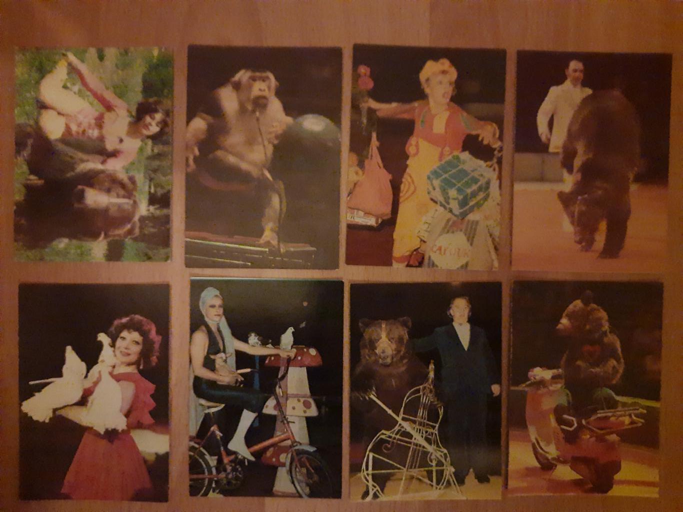 календарики Цирк 1983, 24 шт. 2