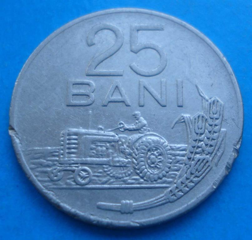 25 bani 1966 г