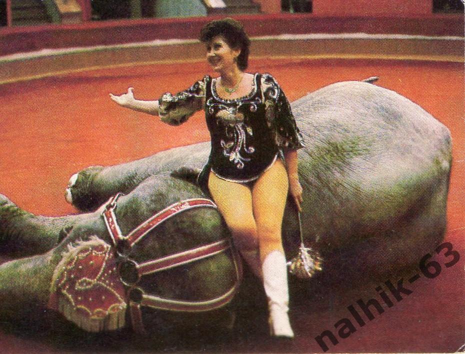Календарик Цирк 1987 год