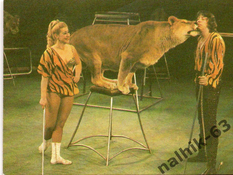 Календарик Цирк 1988 год