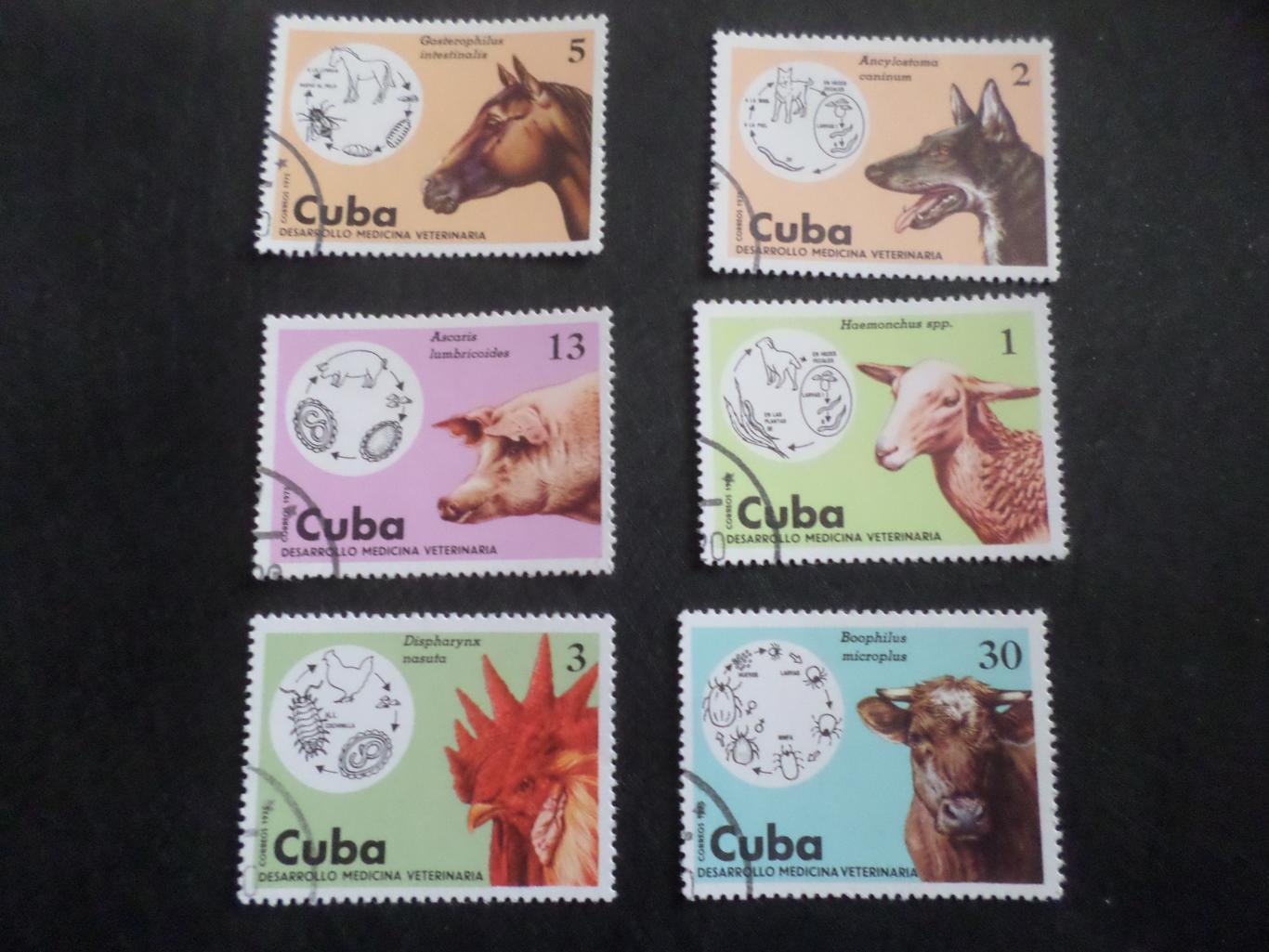 марки Куба фауна домашние животные 1975 г