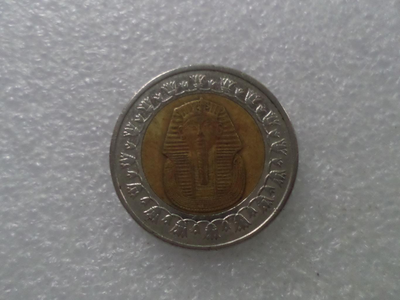 Монета 1 фунт Египет 1