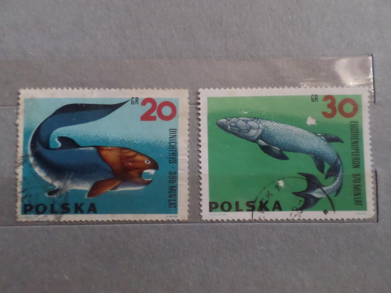 марки Польша фауна Рыбы