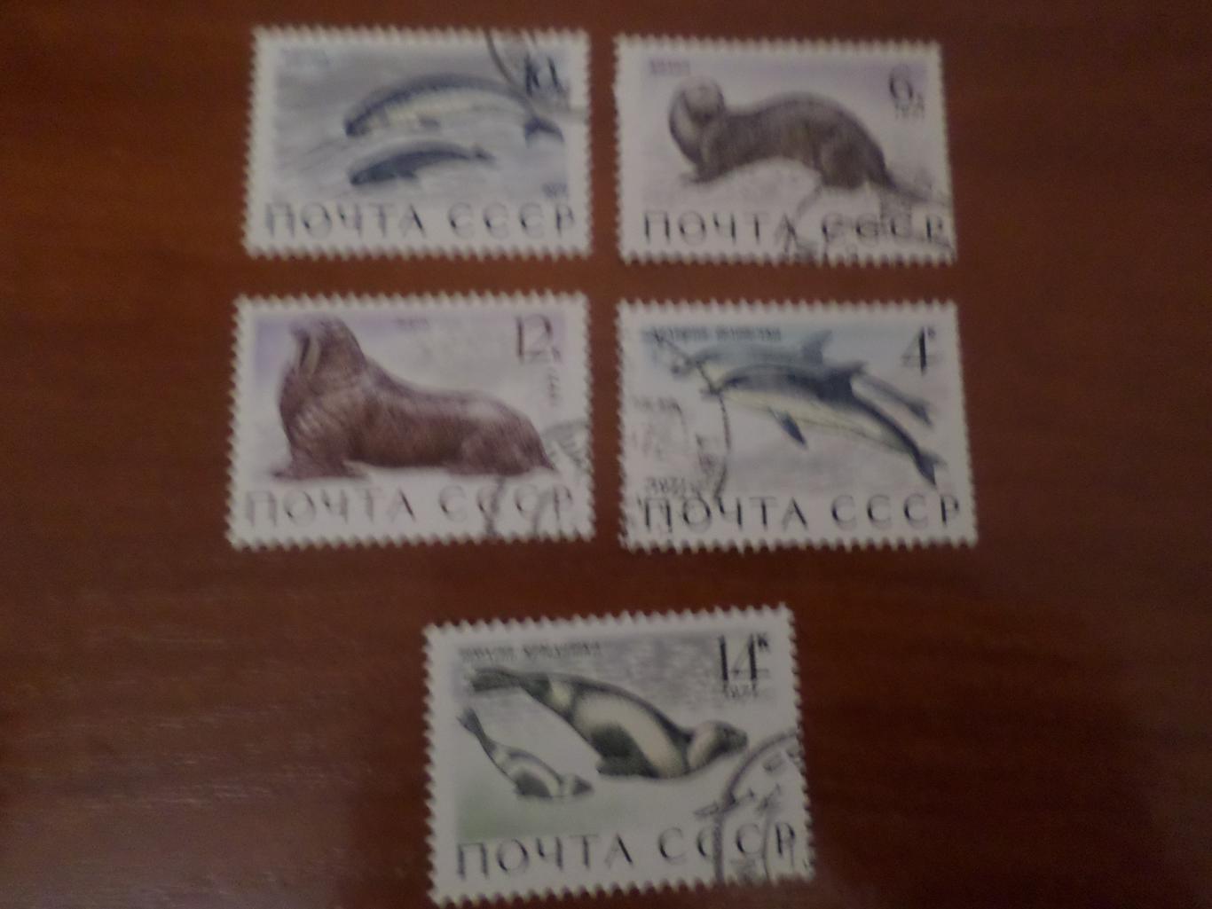 марки СССР фауна Морские обитатели 1971 г