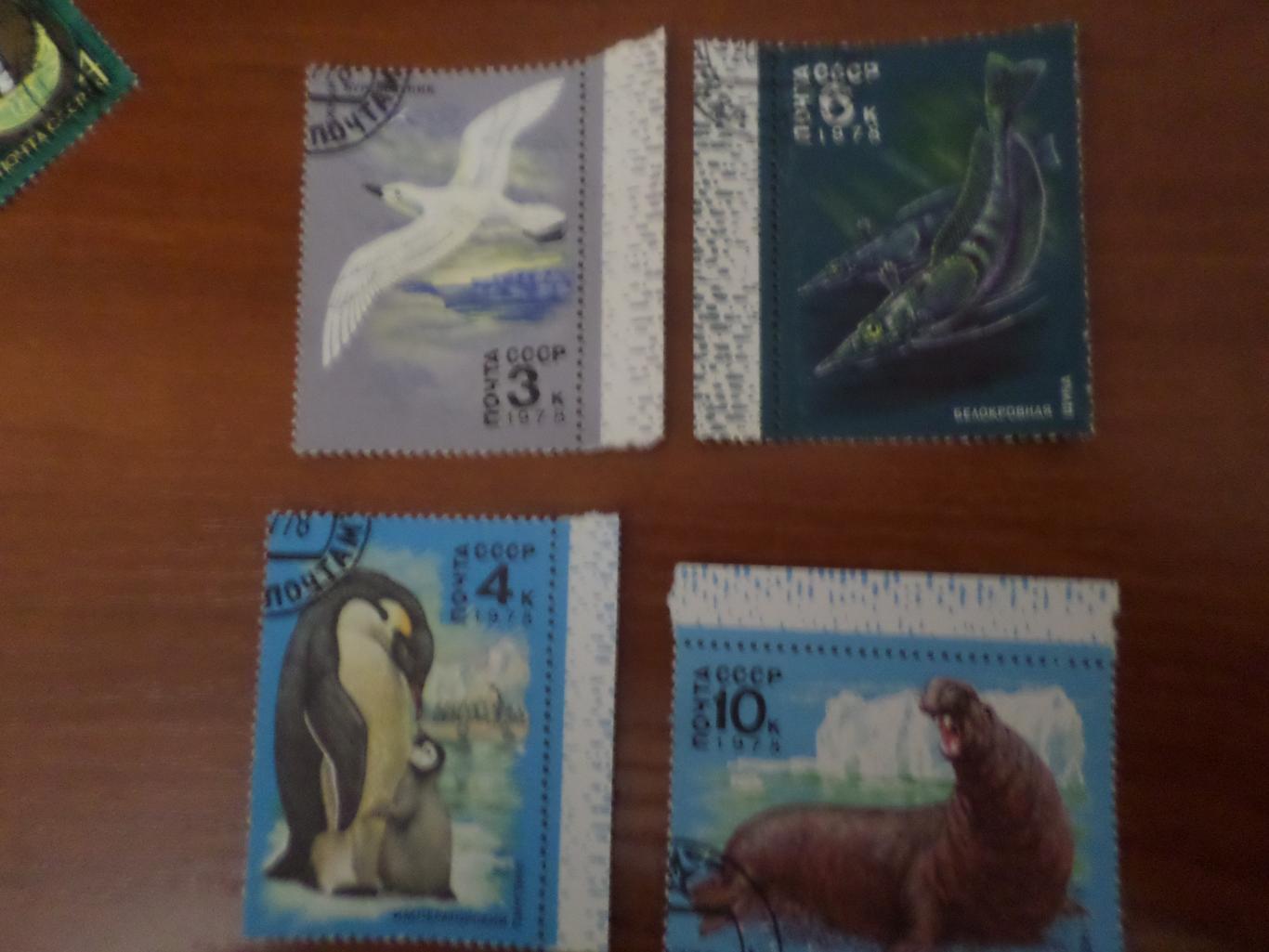 марки СССР фауна Животный мир Антарктиды 1978 г
