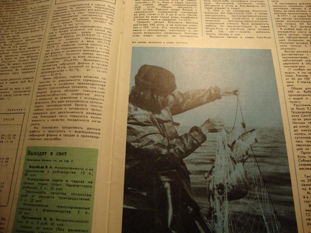 Журнал Рыбоводство и рыболовство №4 1978 3