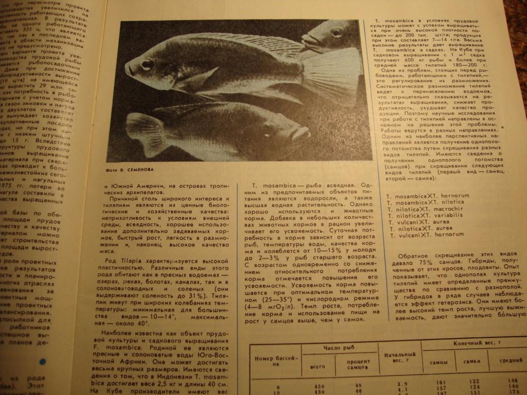 Журнал Рыбоводство и рыболовство №3 1978 3