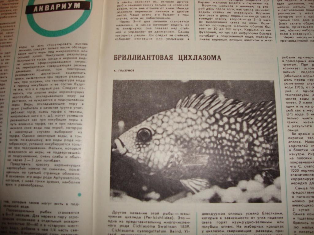 Журнал Рыбоводство и рыболовство №1 1978 3