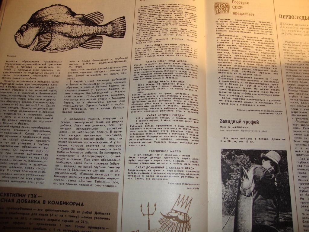 Журнал Рыбоводство и рыболовство №6 1978 4