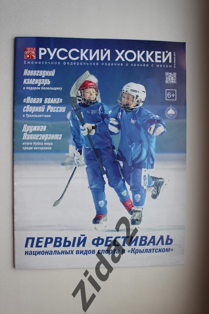 Хоккей с мячом, Русский хоккей, январь 2017 г.