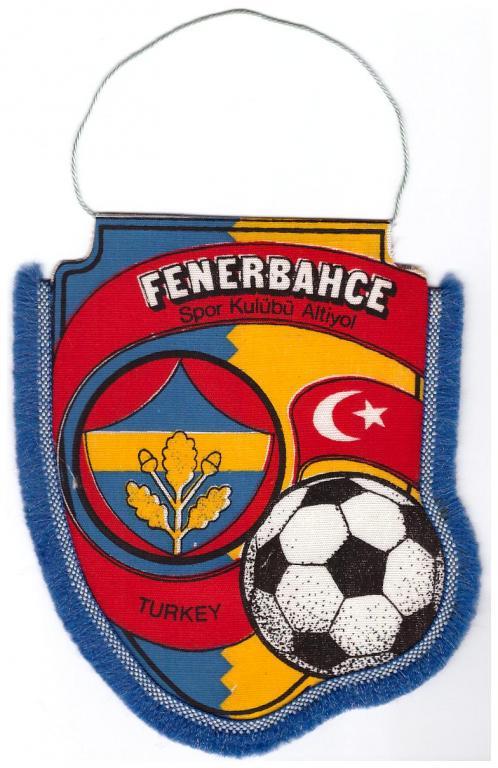 ФК Фенербахче (Стамбул, Турция)