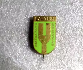 Слет туристов Прибалтики - Balti 81 Matkajate Kokkutulek Эстония тяжелый