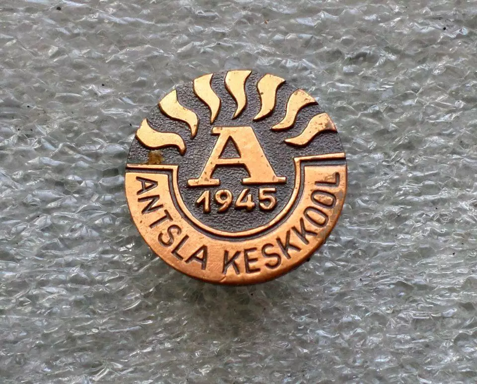 Школа. Антсла (эст. Antsla). Эстония. тяжелый.