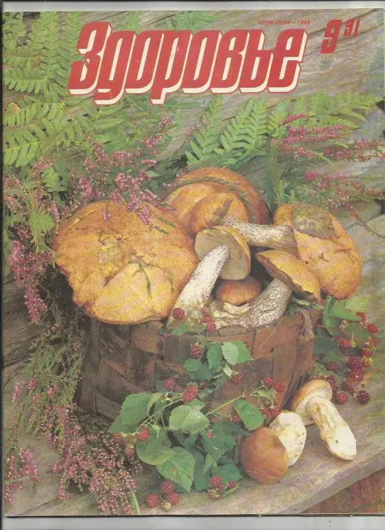 Журнал Здоровье 1991г. №9