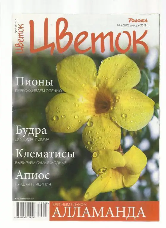 Журнал Цветок. № 2