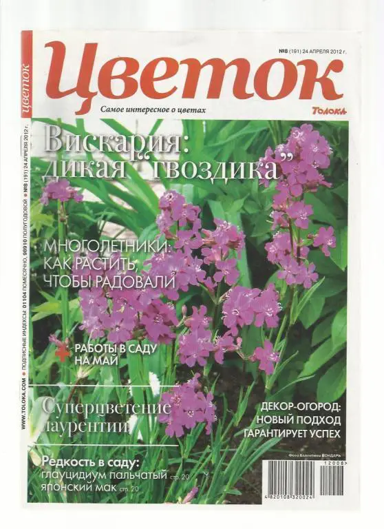 Журнал Цветок. № 8