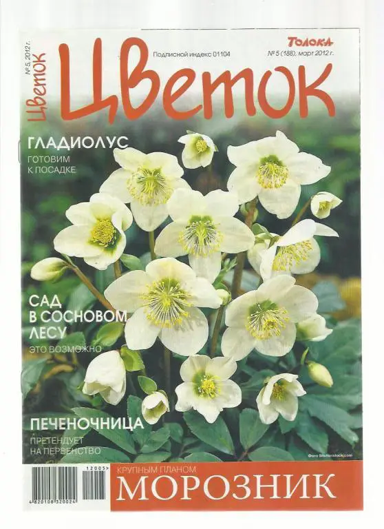 Журнал Цветок. № 5
