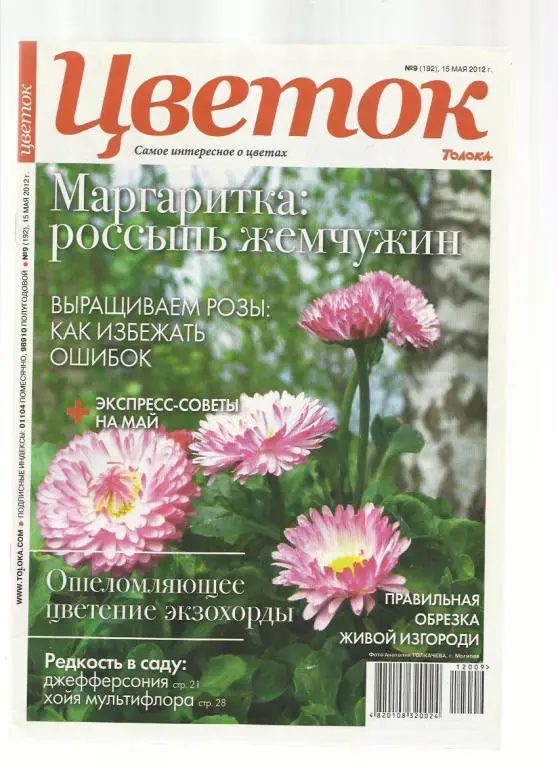 Журнал Цветок. № 9